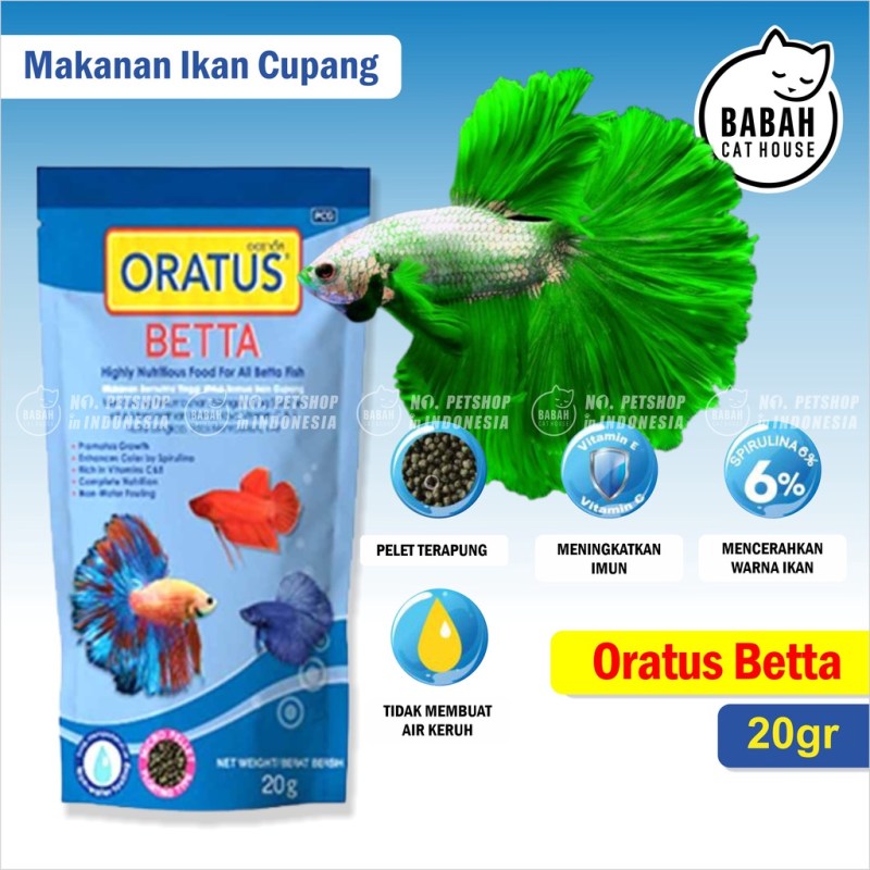 Rahasia Sukses Berjualan Ikan Cupang Online: Dari Hobi Hingga Bisnis Menjanjikan